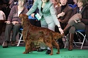 Crufts2011 018